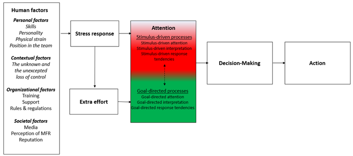 MED1stMR scientific model